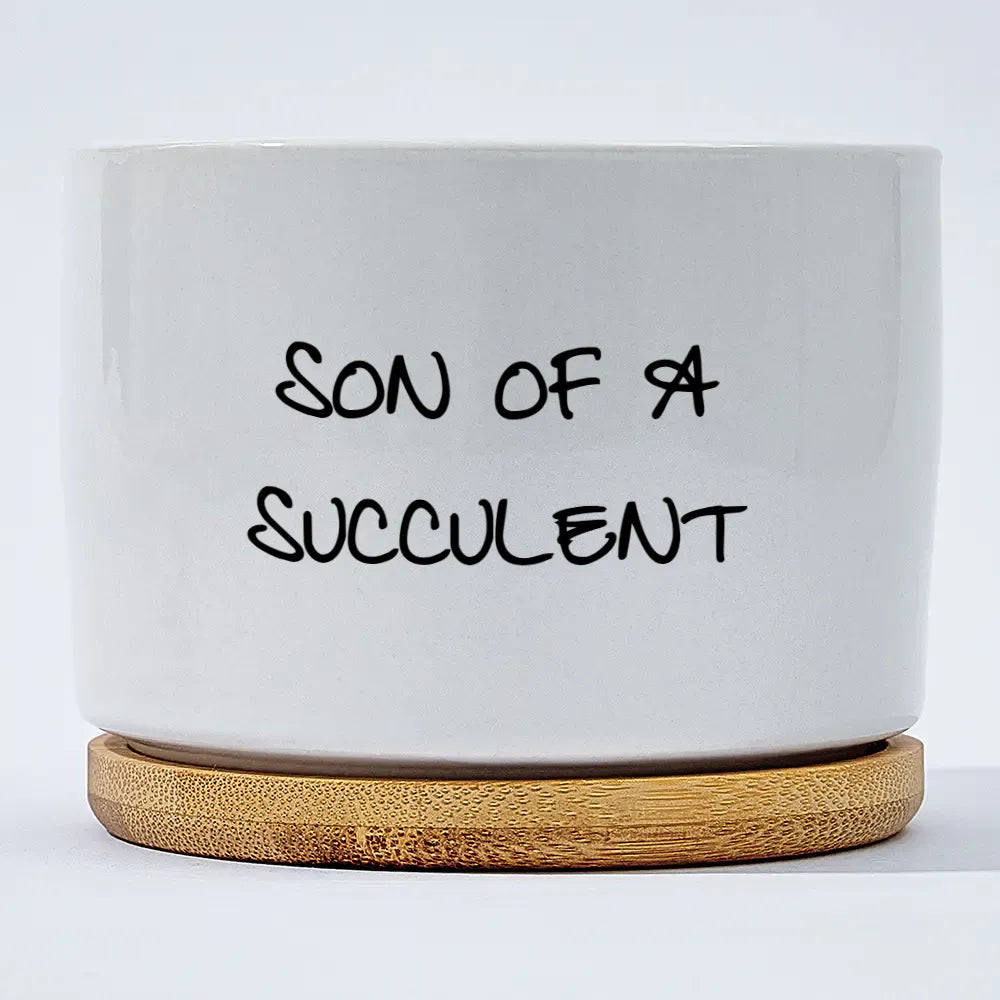 Son of a Succulent