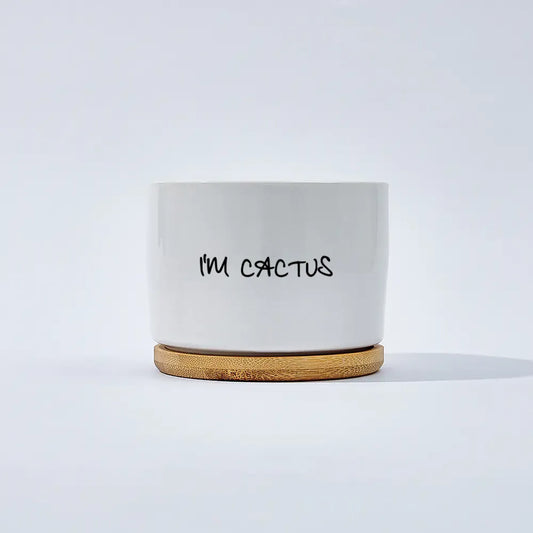 I'm Cactus