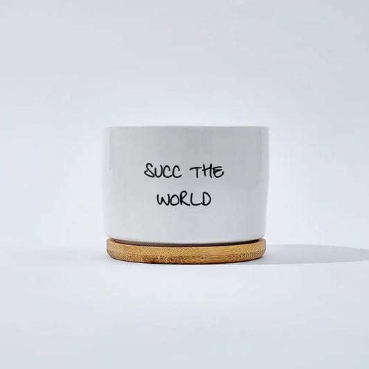 Succ the World
