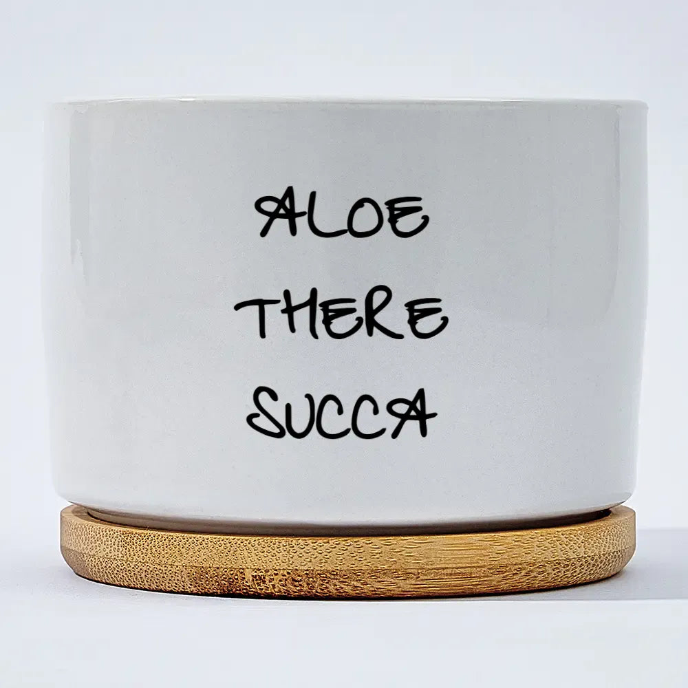 Aloe There Succa