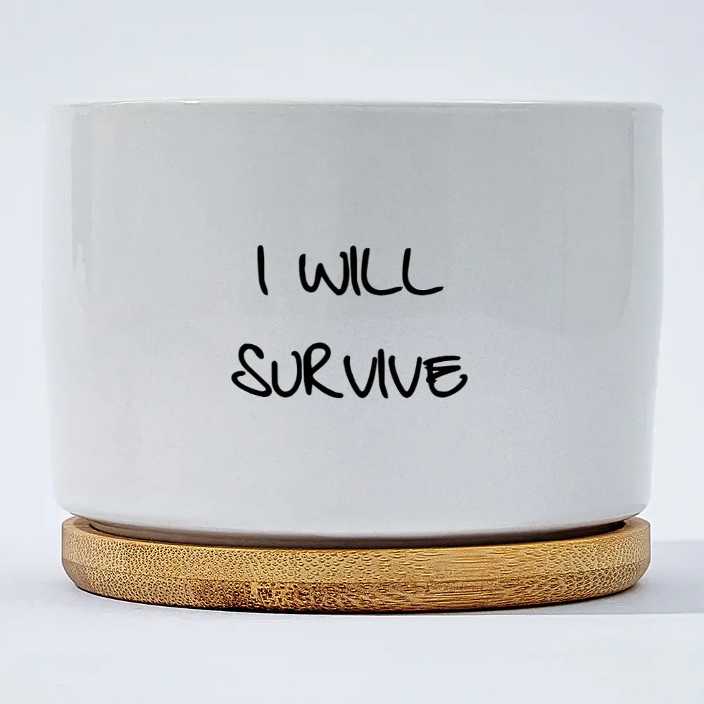 I Will Survive